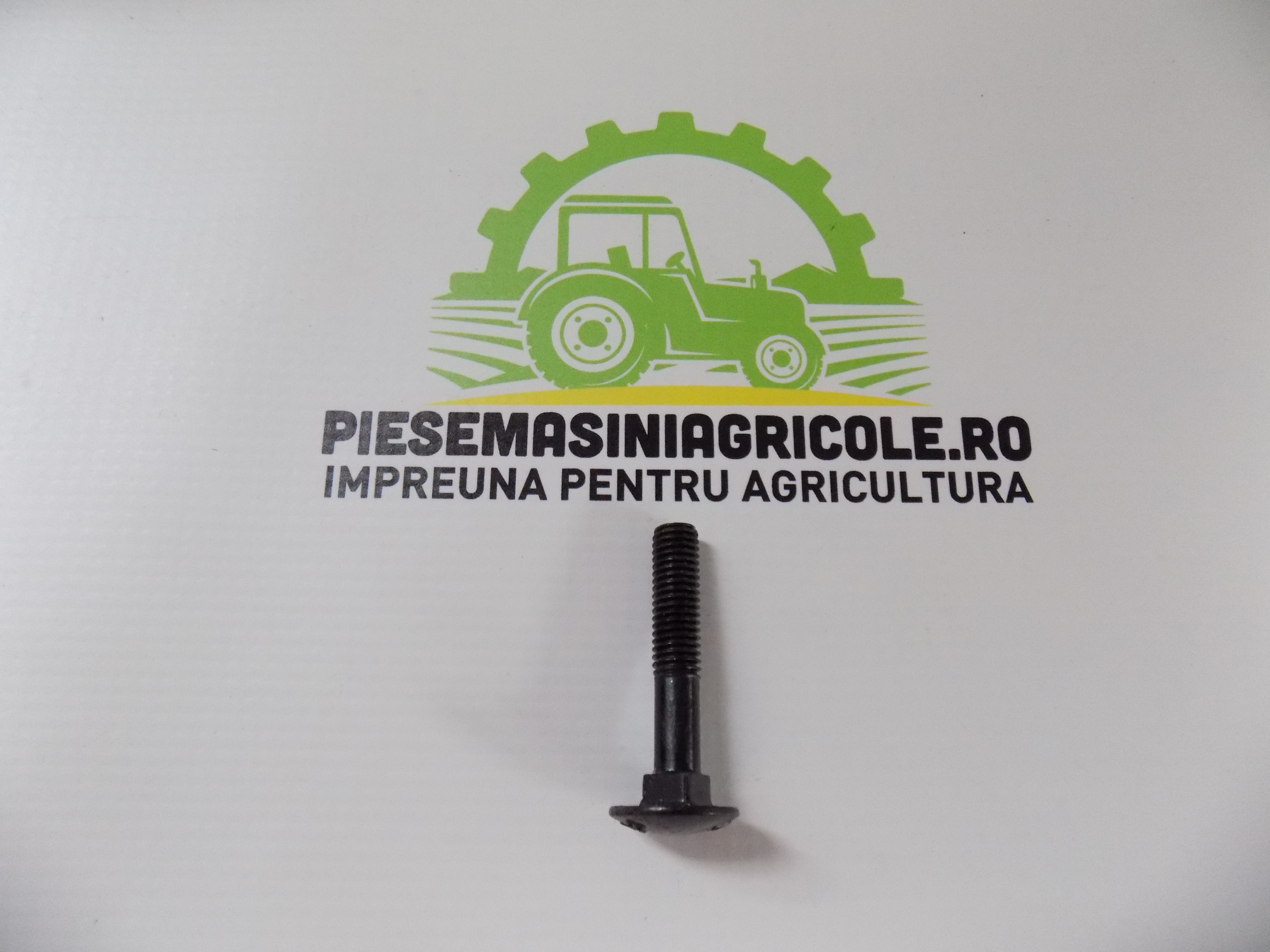 Surub M8x45 cap torbant