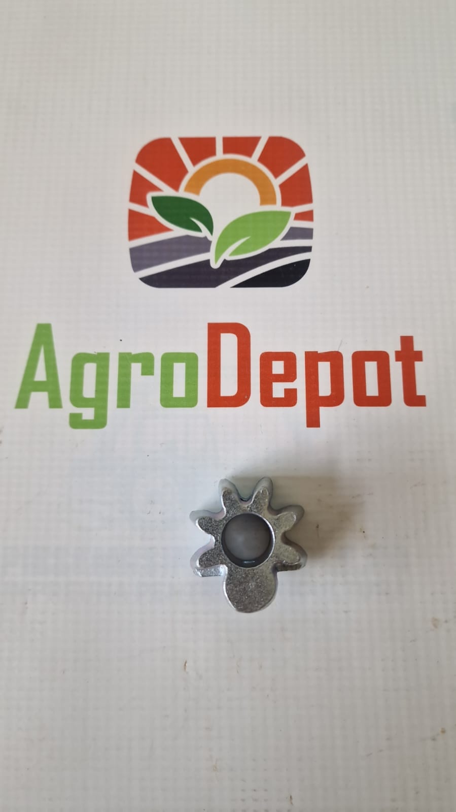 Pinion Suveica international 495192R1